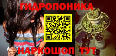 эйфоретик Кингисепп