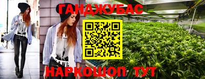 эйфоретик Кимры