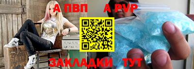 эйфоретик Кингисепп
