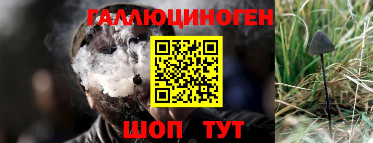 Псилоцибиновые грибы Psilocybine cubensis  Вход с VPN  Галлюциногенные грибы мухоморы  Щёлково 