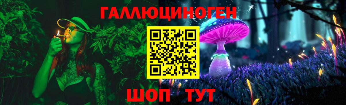 Галлюциногенные грибы GOLDEN TEACHER Щёлково